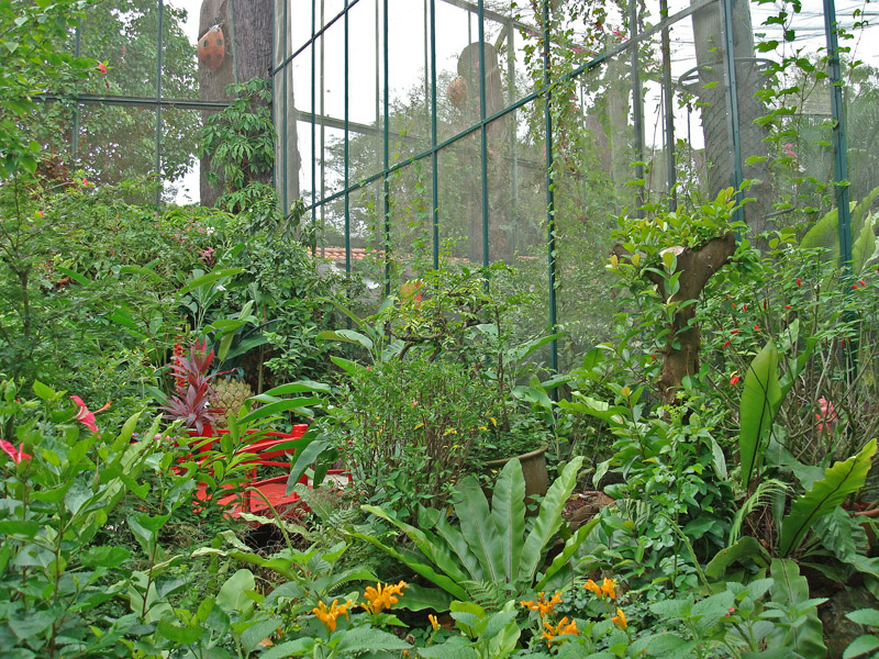 Butterfly Park Enclosure