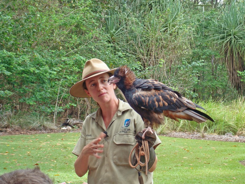 Eagle and trainer